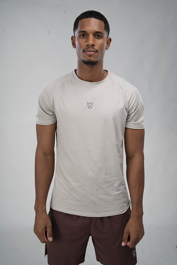 T-shirt Alpha Gris